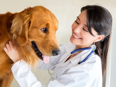 Maxi ricorso Udu 2015: partono le preadesioni per il ricorso di medicina veterinaria e di professioni sanitarie